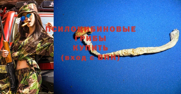 стафф Майский