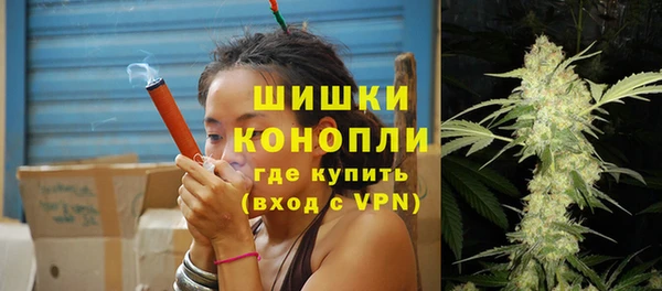 стафф Майский
