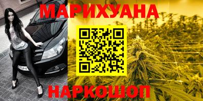 шишки Апшеронск