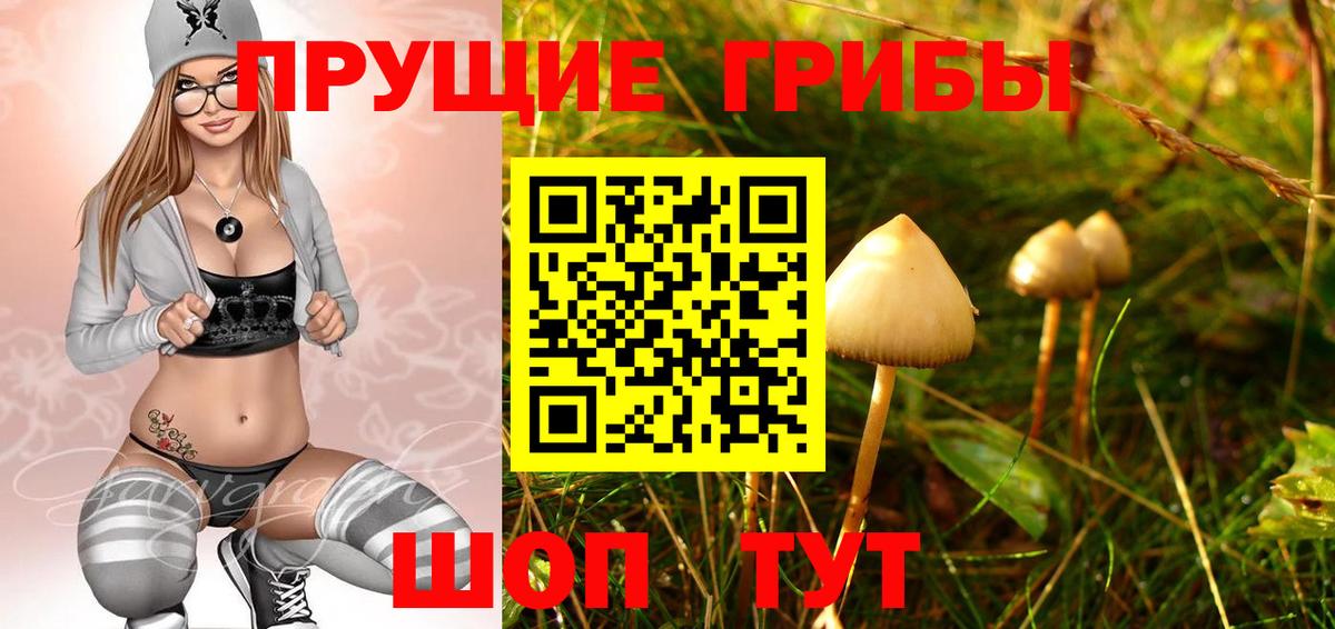 Балахна  Псилоцибиновые грибы Magic Shrooms  Псилоцибиновые грибы MAGIC MUSHROOMS  Вход с VPN 