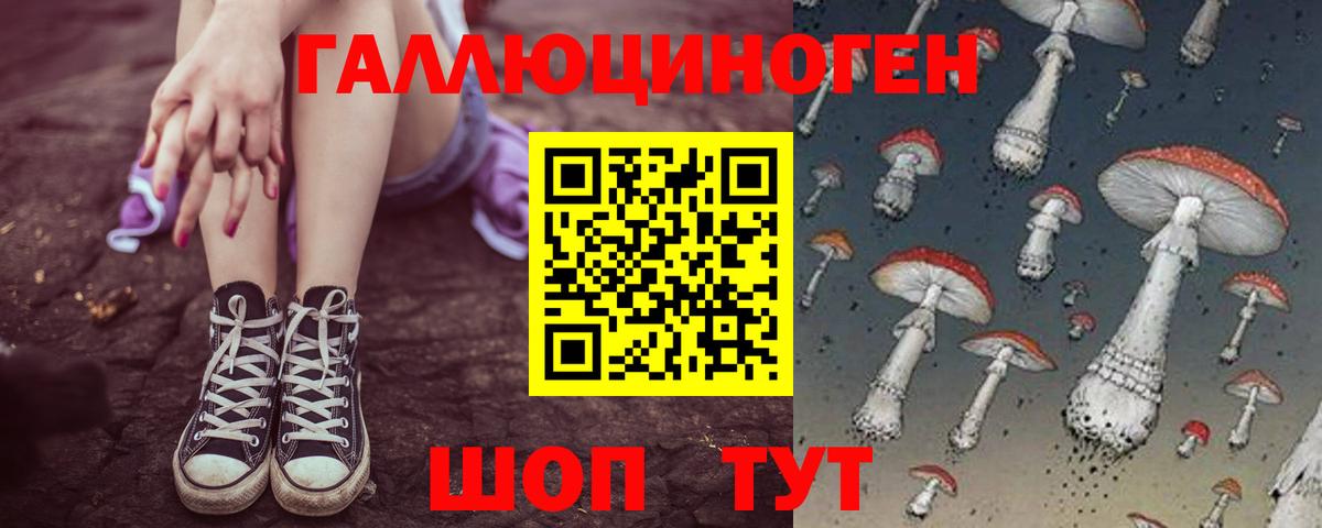 Галлюциногенные грибы Psilocybine cubensis Балахна