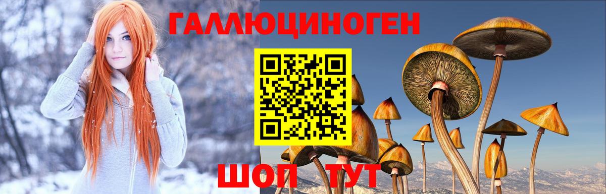 Псилоцибиновые грибы прущие грибы Балахна